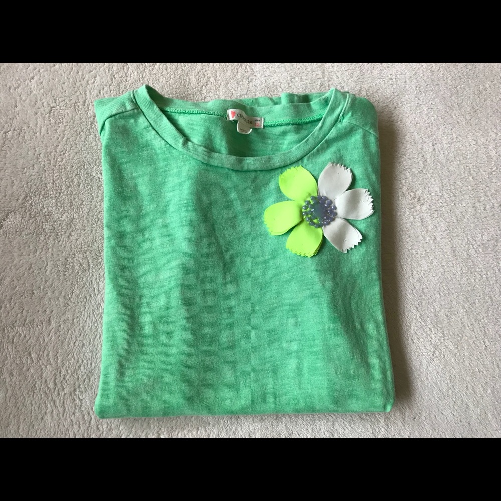 Crewcuts By J. Crew Girls T-shirt NWOT 12